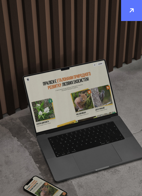Case study 02